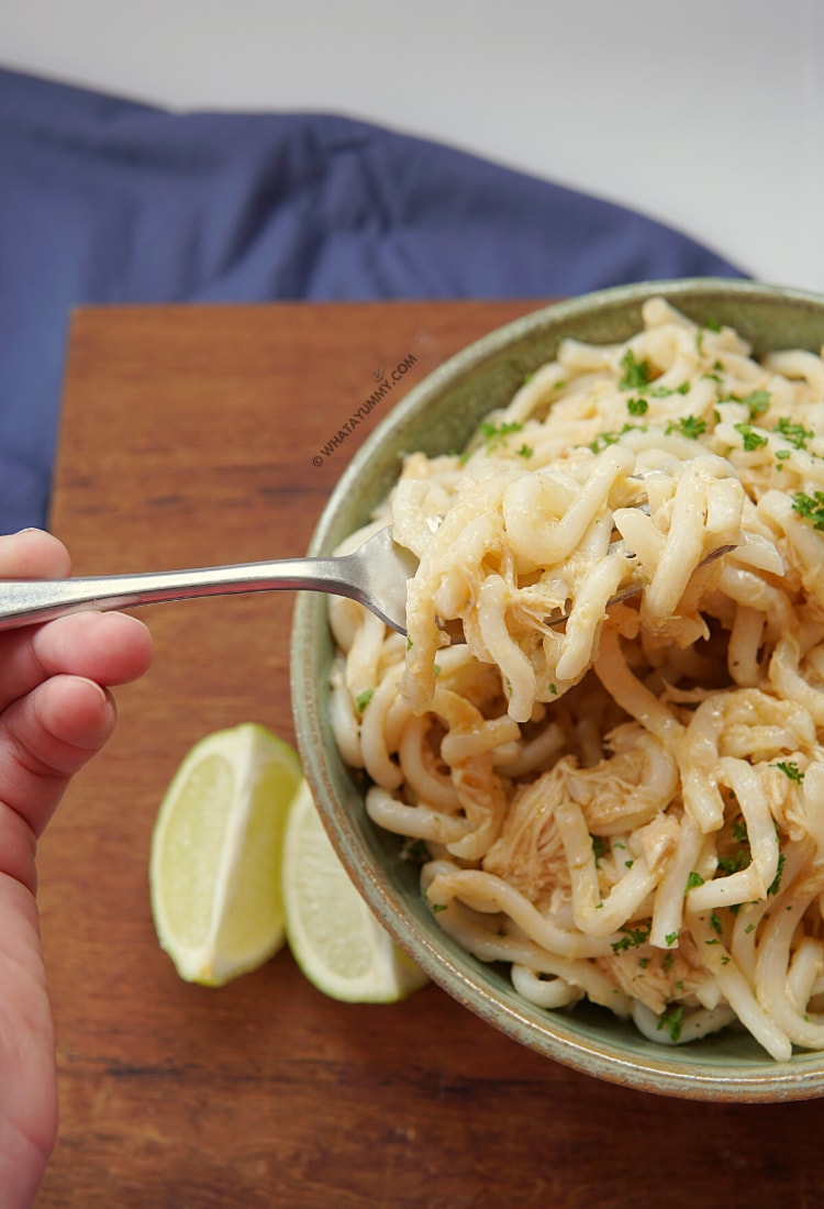 Comforting Chicken & Noodles