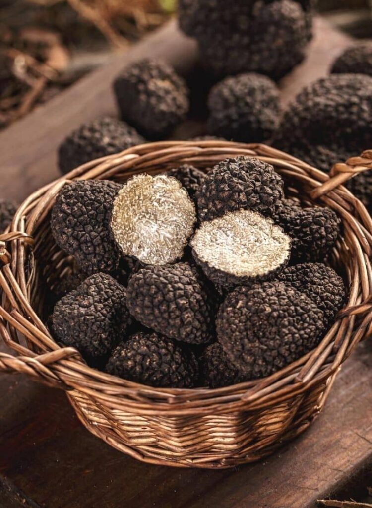 Truffle