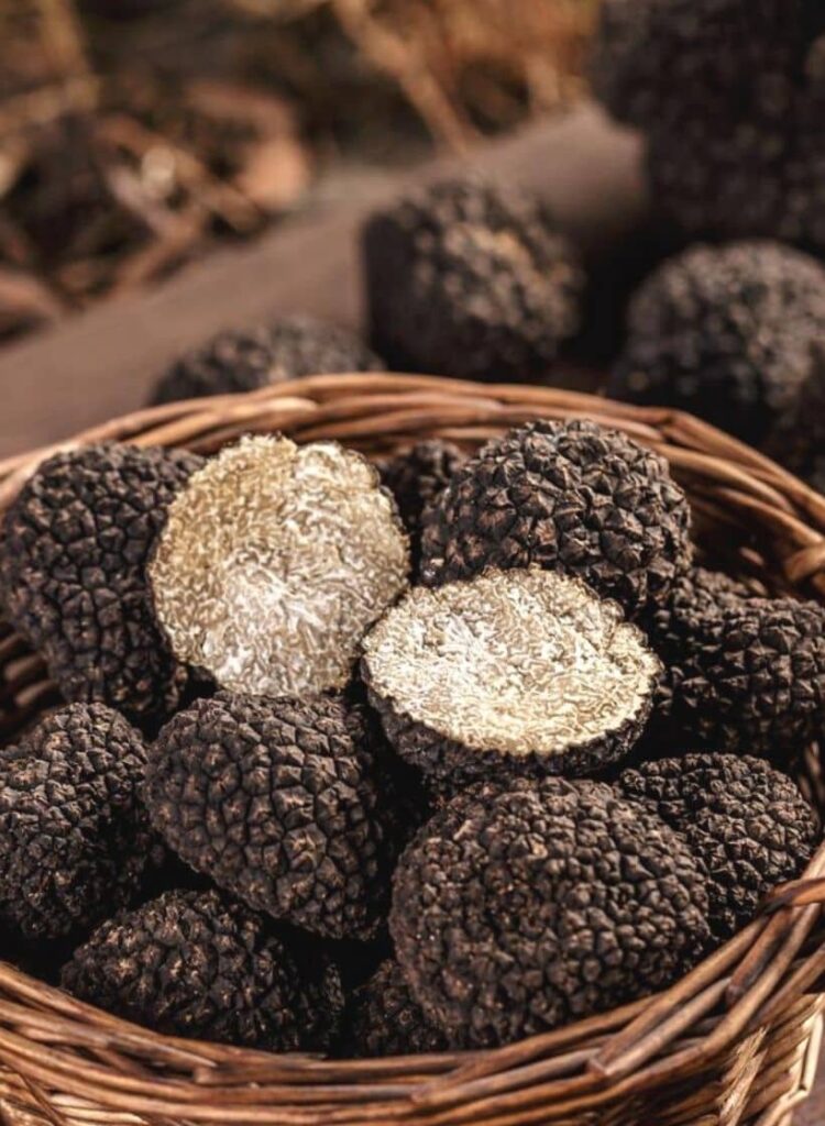 Truffle